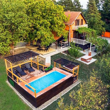 Villa Dijana - Pool, Spa, Outdoor Kitchen Белград Екстер'єр фото
