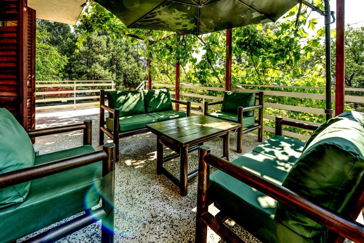 Villa Dijana - Pool, Spa, Outdoor Kitchen Белград Екстер'єр фото